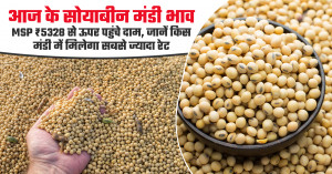 सोयाबीन का भाव (01 अप्रैल, 2026)