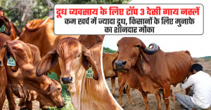 पशुपालन बिजनेस आइडिया