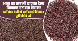 Mustard Market Today: Farmers Surprised by Sharp Rise in Some Markets, Big Drop in Others — Read Full Repor