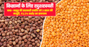 Madhya Pradesh Approves Chickpea & Lentil Procurement for 3 Years, MSP Support Boost for Farmers