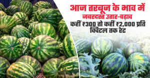Watermelon Market Prices See Sharp Swings: Rates Range from ₹300 to ₹2,000 per Quintal – Full Market Report