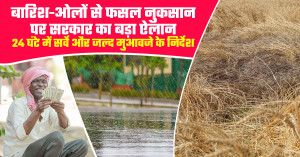 UP Orders 24-Hour Crop Damage Survey after Rain and Hail, Assures Swift Compensation to Farmers