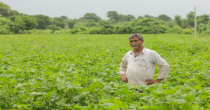 Big Boost for MP Farmers: Focus on Modern Technology and High-Value Crops
