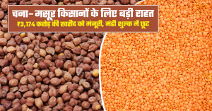 MP Farmers: ₹3,174 Crore Chana & Masoor Procurement Plan Approved