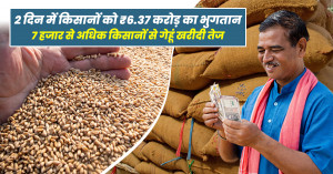 2 दिन में किसानों को ₹6.37 करोड़ का भुगतान, 7 हजार से अधिक किसानों से गेहूं खरीदी तेज