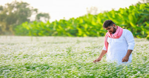 Direct Subsidies, Organic Push to Drive Farm Self-Reliance: Agriculture Key to India’s 2047 Vision