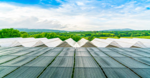 Up to ₹1.40 Lakh Subsidy on Solar Dryers: a Boost for Farmers to Cut Losses and Increase Profits