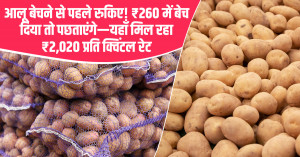 आलू का भाव (19 अप्रैल 2026)