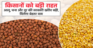 Govt Expands Procurement of Potato, Chana and Tur to Ensure Better Prices