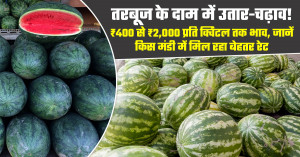तरबूज का भाव (19 अप्रैल 2026)