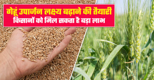 गेहूं MSP उपार्जन 2026