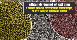 Odisha Farmers: MSP Procurement Approved for 5 Crops worth over ₹1,428 Crore