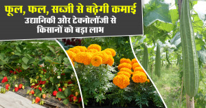 फूल, फल, सब्जी से बढ़ेगी कमाई: उद्यानिकी और टेक्नोलॉजी से किसानों को बड़ा लाभ