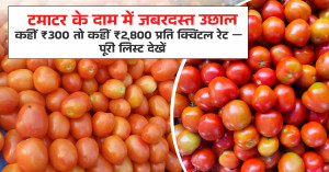 टमाटर का भाव (04 मई, 2026)