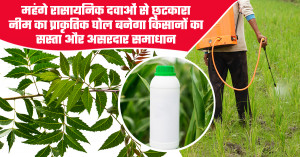 महंगे रासायनिक दवाओं से छुटकारा नीम का प्राकृतिक घोल बनेगा किसानों का सस्ता और असरदार समाधान