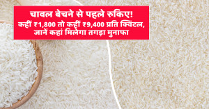 चावल का भाव (06 मई, 2026)