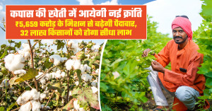 कपास उत्पादकता मिशन