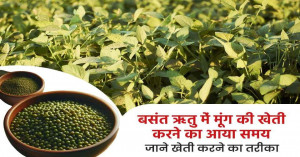 ग्रीष्मकालीन फसलों की बुवाई 2026