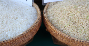 Global Rice Market Faces Fresh Uncertainty: Falling Stocks, El Niño Risks and Middle East Tensions May Push Prices Higher