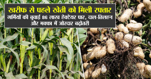 खरीफ से पहले खेती को मिली रफ्तार: गर्मियों की बुवाई 86 लाख हेक्टेयर पार, दाल-तिलहन और मक्का में जोरदार बढ़ोतरी