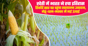 भारत खाद्यान्न उत्पादन 2025-26