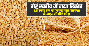 India sets new wheat procurement record: govt purchases cross 35 million tonnes, surpasses target