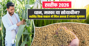 खरीफ 2026: धान, मक्का या सोयाबीन? जानिए किस फसल में मिल सकता है ज्यादा मुनाफा