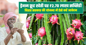 Bihar government offers ₹2.70 lakh subsidy for dragon fruit farming; check eligibility and application process