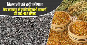 दलहन और तिलहन किसानों को बड़ी राहत, चार राज्यों में MSP पर खरीद को केंद्र की मंजूरी