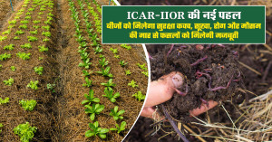 Smart Seed Technology: ICAR-IIOR की नई पहल: बीजों को मिलेगा सुरक्षा कवच, सूखा, रोग और मौसम की मार से फसलों को मिलेगी मजबूती