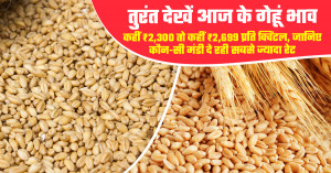 गेहूं का भाव - (30 जून, 2026)