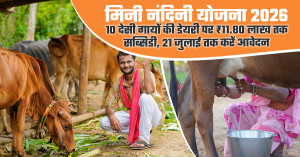 Mini Nandini scheme 2026: get up to ₹11.80 lakh subsidy for a 10-cow dairy unit in uttar pradesh