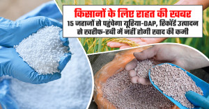 किसानों के लिए राहत की खबर: 15 जहाजों से पहुंचेगा यूरिया-DAP, रिकॉर्ड उत्पादन से खरीफ-रबी में नहीं होगी खाद की कमी