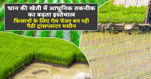 Mechanised rice transplanting emerges as a game changer for farmers facing labour shortages