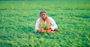 मध्य प्रदेश कैबिनेट के बड़े फैसले