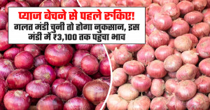 Onion market Prices today (July 09, 2026)