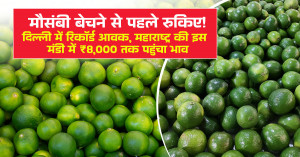 मौसंबी का मंडी भाव - (10 जुलाई, 2026)