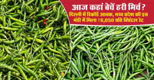 Green Chilli market prices today (july 12, 2026): Hoshangabad tops at ₹6,050 per quintal while Delhi records the highest arrivals