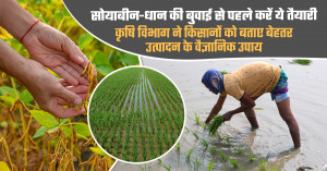 MP Kharif Advisory: सोयाबीन-धान की बुवाई से पहले करें ये तैयारी: कृषि विभाग ने किसानों को बताए बेहतर उत्पादन के वैज्ञानिक उपाय
