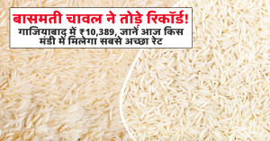 Basmati rice prices hit record high: Ghaziabad tops at ₹10,389 per quintal on July 16, 2026