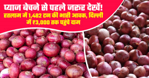 Onion market prices on July 18, 2026: Ratlam records 1,482 tonnes of arrivals, Delhi prices reach ₹3,000 per quintal
