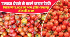 Tomato market prices today (july 19, 2026): bihar records ₹6,000 per quintal while heavy arrivals weigh on prices in indore and jabalpur