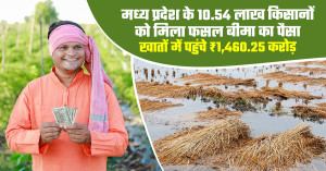 MP farmers get ₹1,460.25 crore pmfby insurance claim, 10.54 lakh farmers receive direct benefit