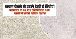 Rice market prices today (july 25, 2026): mumbai APMC records ₹11,000 per quintal, premium rice sells up to ₹9,506 in uttar pradesh