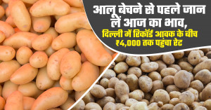Potato market prices today (July 26, 2026): delhi sees record arrivals, premium potatoes fetch up to ₹4,000 per quintal in haryana