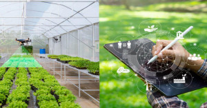 Telangana ai farming: ai and digital technology transform agriculture, 1.156 million pmay-g houses sought