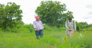 Pradhan mantri kisan sampada yojana benefits 37.76 lakh farmers, 1,256 projects completed across india