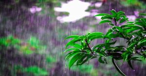 IMD monsoon forecast 2026: below-normal rainfall expected in august-september, farmers advised to stay alert