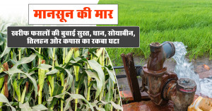 UP kharif season 2026: government strengthens irrigation plans as below-normal rainfall continues