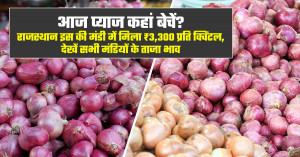 प्याज का भाव (04 अगस्त, 2026)